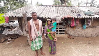 'First COVID-19 and now Amphan': Farmers in coastal Odisha stare at an uncertain future as cyclone destroys crops, only means of livelihood