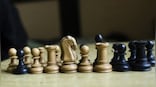 Ending years of feud, AICF and Chess Association of India announce merger