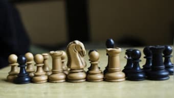 Tata Steel Chess 2020 cancelled due to COVID-19 crisis, organisers hopeful of event returning next year