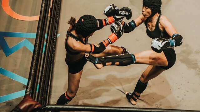 The Best Fighting Gloves Out There The Best Fighting Gloves Out There