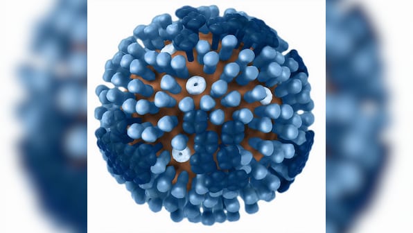 Overactivation of immune cells in severe COVID-19 cases resembles lupus, may indicate need for follow-up care