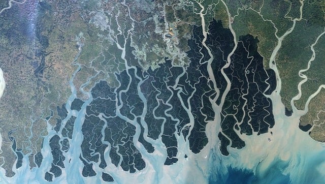 Landsat 7 image of Sundarbans, released by NASA Earth Observatory. Image via Wikimedia Commons