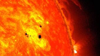 Boring personality: Our Sun is far less active than other stars, which is good news for life on Earth