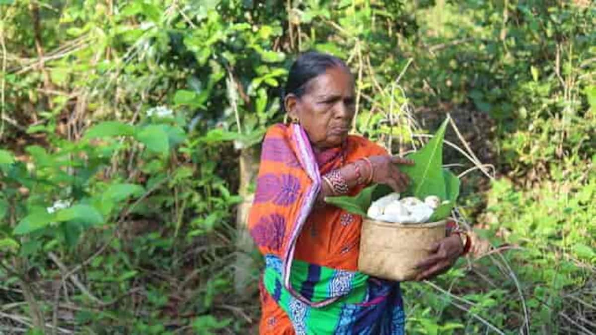 From flowers, fruits, yam and honey, Odisha's forest-dwelling tribal communities survive on nature as many struggle for one meal during COVID-19 lockdown