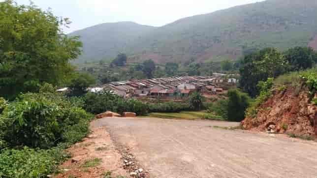 Degradation of forest. Image courtesy Basudev Mahapatra