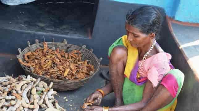 A tribal woman. Image courtesy Basudev Mahapatra