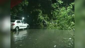 Cyclone Amphan: Two killed in West Bengal; winds of up to 190 kmph flatten thatched houses, uproot trees