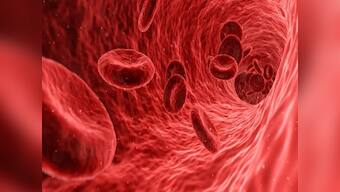 World Thalassemia Day 2020: India has roughly 40 mn carriers; here are key points about the chronic genetic disease