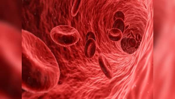 World Blood Donor Day 2020: Donating while menstruating and 11 other questions you may have about giving blood