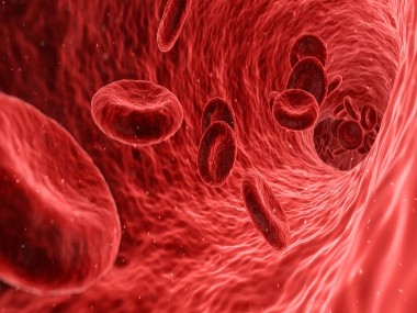 World Thalassemia Day 2020: India has roughly 40 mn carriers; here are key points about the chronic genetic disease World Thalassemia Day 2020: India has roughly 40 mn carriers; here are key points about the chronic genetic disease