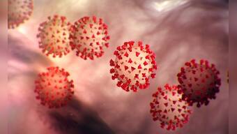 'Very high level' of COVID-19 in India: US advises its citizens to avoid travel even if fully vaccinated