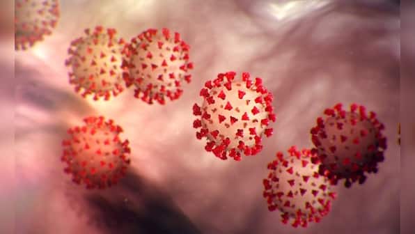 'Very high level' of COVID-19 in India: US advises its citizens to avoid travel even if fully vaccinated