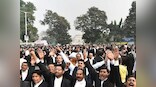 Survey of high court advocates exposes fault lines between bar, bench; greater transparency in judicial appointments need of the hour