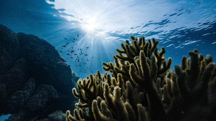 Rate of climate change in deep waters of the ocean could be to be seven times faster by 2050 even if we reduce emissions
