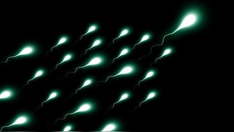 Coronavirus could spread via sexual intercourse as traces were was found in semen