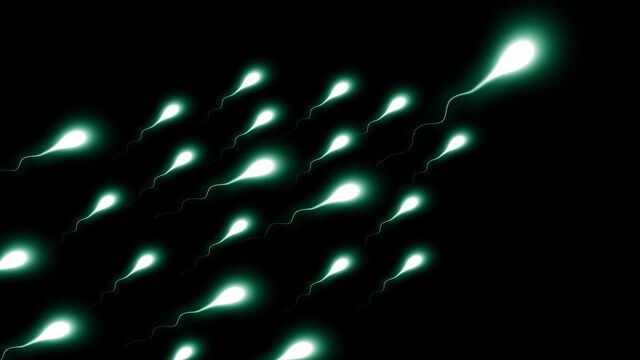 Coronavirus could spread via sexual intercourse as traces were was found in semen Coronavirus could spread via sexual intercourse as traces were was found in semen