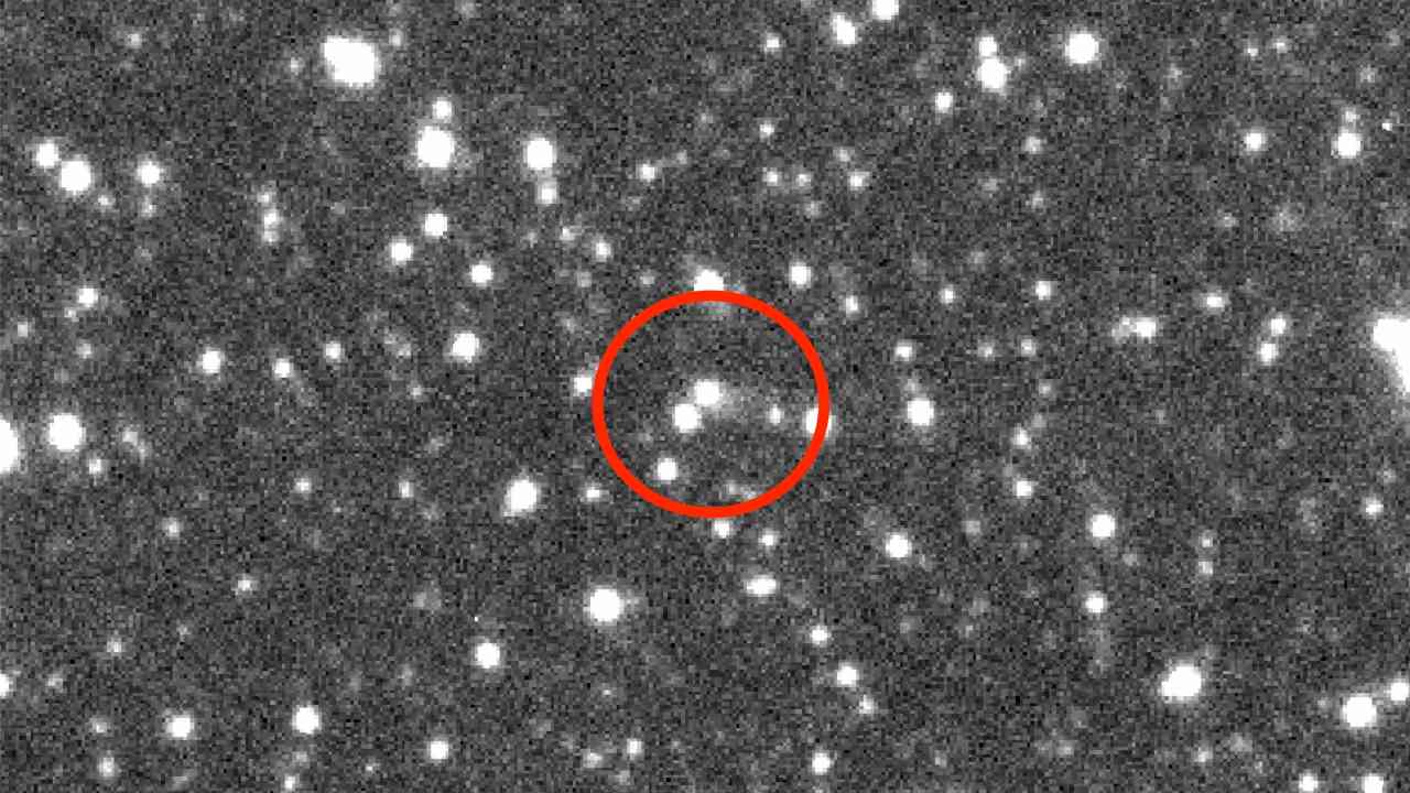 Image of asteroid 2019LD2 taken on June 11th, 2019, using the Las Cumbres Observatory Global Telescope (LCOGT) NetworkÊ»s 1.0-meter telescope at Cerro Tololo, Chile. Image Credit: JD Armstrong/IfA/LCOGT