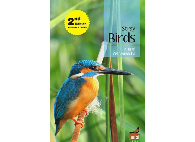 Cover for Stray Birds