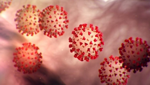 COVID-19 Treatment: German researchers say anti-depressant fluoxetine can reduce viral replication in coronavirus patients COVID-19 Treatment: German researchers say anti-depressant fluoxetine can reduce viral replication in coronavirus patients
