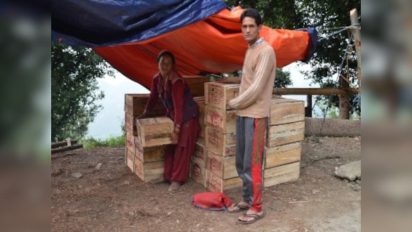Nepalese migrant labourers working in Himachal Pradesh's apple orchards battle twin crises of strained ties, COVID-19 lockdown