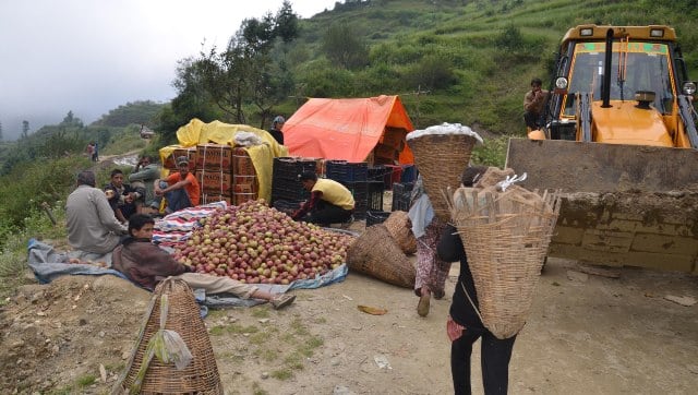 Due to precarious working conditions, none other than the Nepalese labourers could work in the orchards of Himachal. Image/Saurabh Chauhan