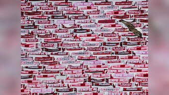 Two Benfica players injured as attackers pelt rocks on team bus after goaless draw against Tondela: Report