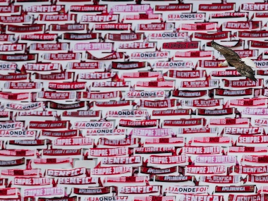 Two Benfica players injured as attackers pelt rocks on team bus after goaless draw against Tondela: Report Two Benfica players injured as attackers pelt rocks on team bus after goaless draw against Tondela: Report