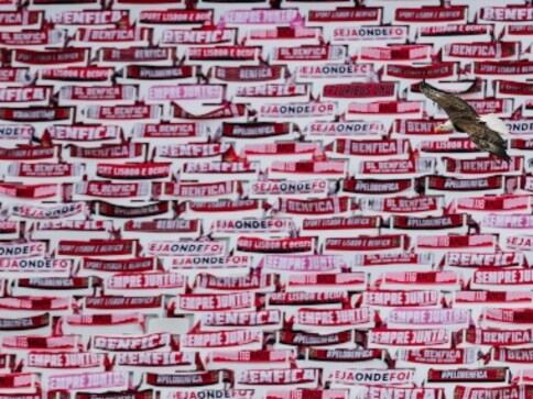 Two Benfica players injured as attackers pelt rocks on team bus after goaless draw against Tondela: Report Two Benfica players injured as attackers pelt rocks on team bus after goaless draw against Tondela: Report