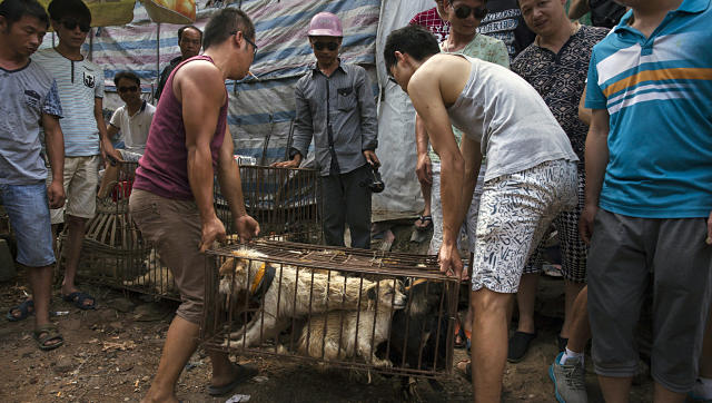 In the battle to ban consumption of dog meat, activists in China find an unlikely ally: The coronavirus In the battle to ban consumption of dog meat, activists in China find an unlikely ally: The coronavirus