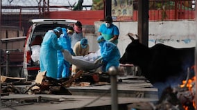 India sixth among nations worst-hit by COVID-19, surpasses Italy; confirmed cases rise to 2,36,657