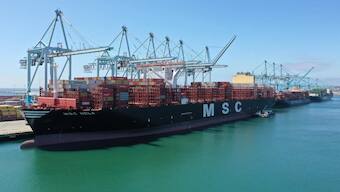 Covid-19 pandemic gives scientists an unprecedented chance to 'hear' oceans as they once were