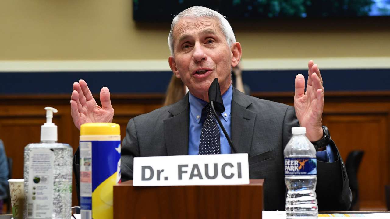 Director of the National Institute of Allergy and Infectious Diseases Dr Anthony Fauci testifies before a House Committee on Energy and Commerce on the Trump administration's response to the COVID-19 pandemic on 23 June 2020. AP