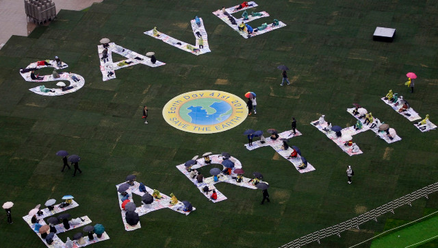 World Environment Day 2020: From causing infectious diseases to reduction in food sources, here's how biodiversity loss impacts us World Environment Day 2020: From causing infectious diseases to reduction in food sources, here's how biodiversity loss impacts us