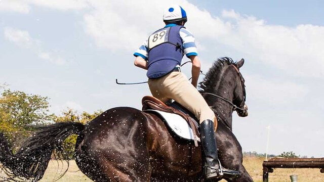 TOP HORSE RIDING WHIPS FOR YOUR NEXT RIDE TOP HORSE RIDING WHIPS FOR YOUR NEXT RIDE