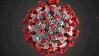Mutation in SARS-CoV-2 ramps up ability to infect cells, makes it more stable: Scripps study