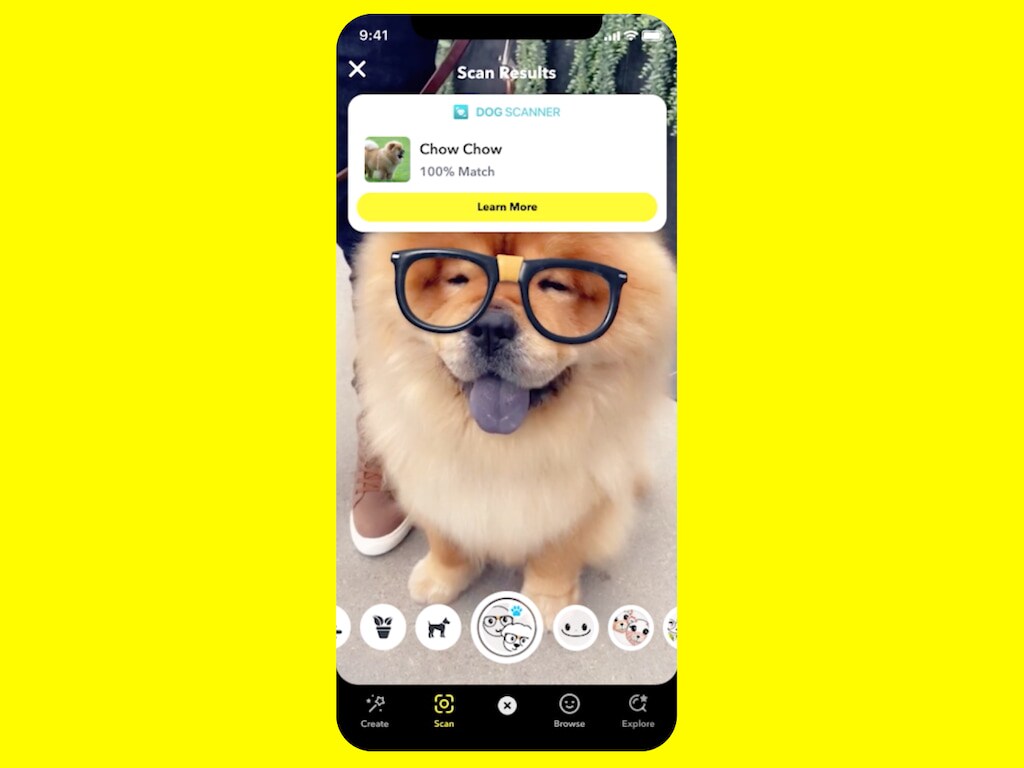 Snapchat has now integrated Dog Scanner into the app. Image: Snap