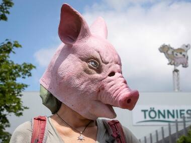 Hundreds of new coronavirus cases are linked to the large meatpacking plant,