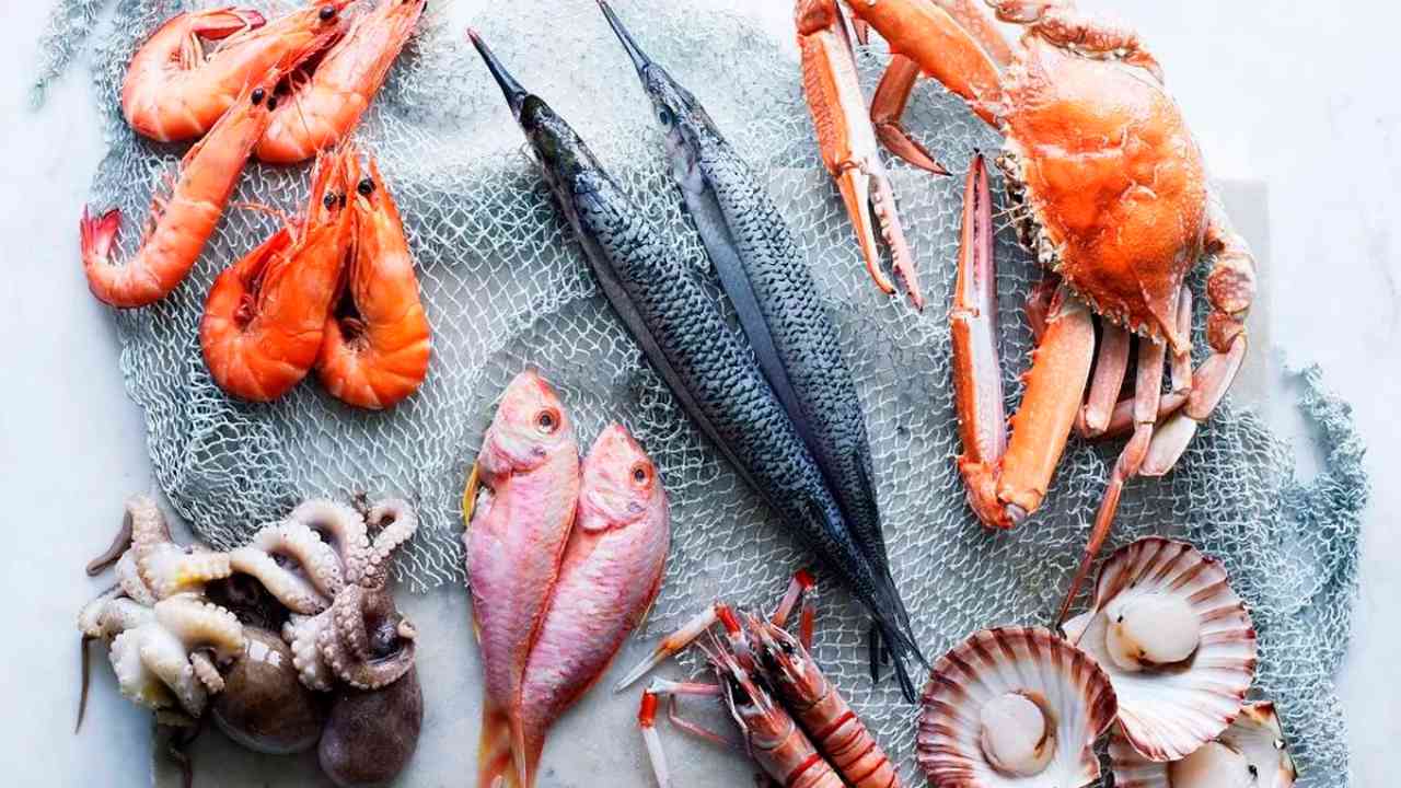 World Ocean Day: Alternative seafood offers twin solution to address food security, planet's health World Ocean Day: Alternative seafood offers twin solution to address food security, planet's health