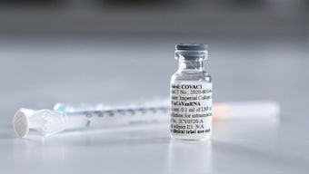 Halted trial shows how unlikely it is that US will have a COVID-19 vaccine by 3 Nov: NIH official