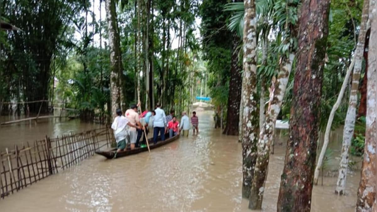 Assam flood situation improves; 12 lakh in 22 districts still in grip of deluge, says govt