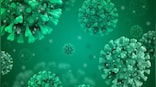 Coronavirus treatment: US scientists find a way to use charcoal to fight cytokine storm in COVID-19 patients