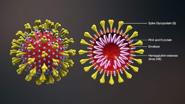 US study assesses COVID-19 complications, says patients at 27.6% risk of pneumonia