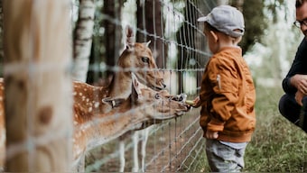 World Environment Day 2020: To prevent future pandemics, it is important to bridge the human—animal health divide