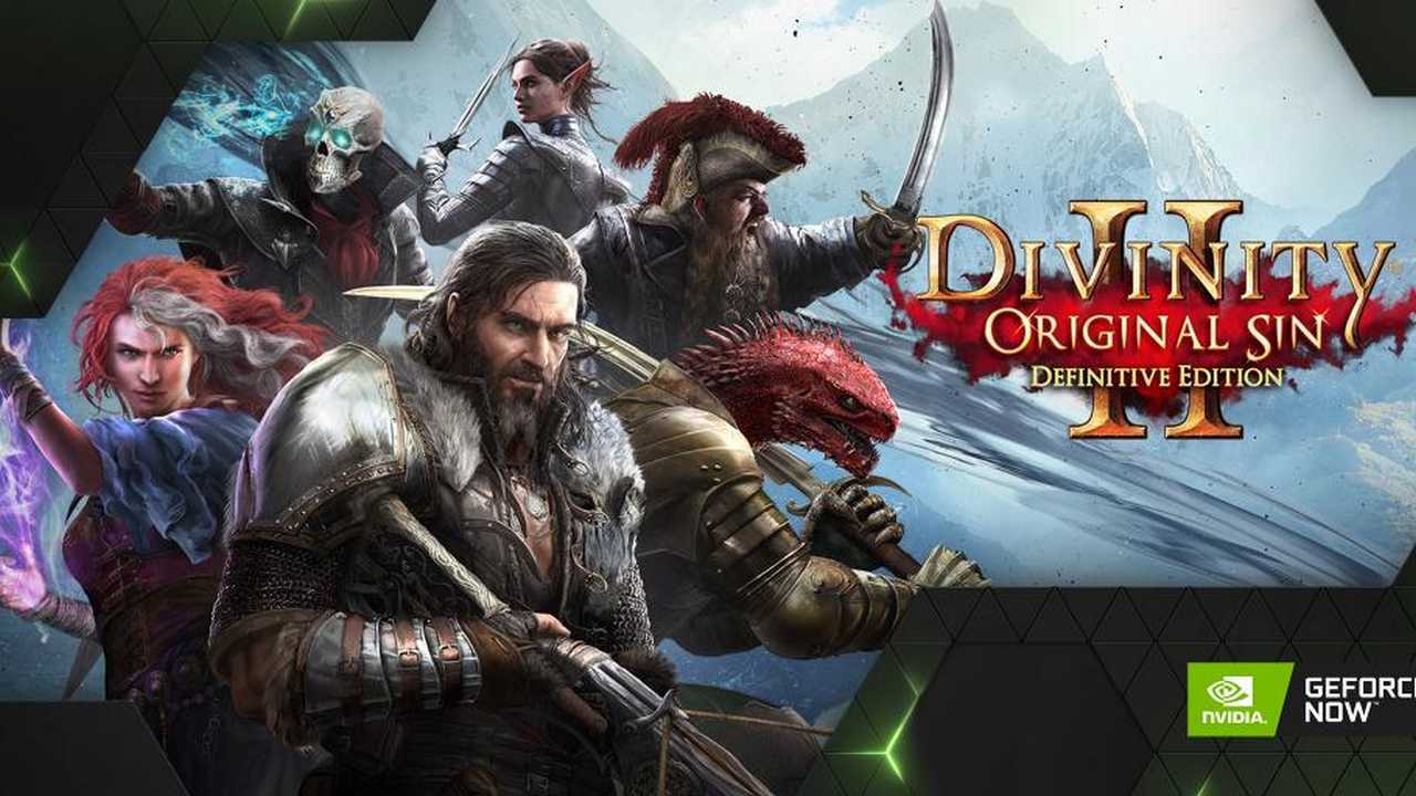 Divinity original sin 2 почему спутники перестали за мной ходить