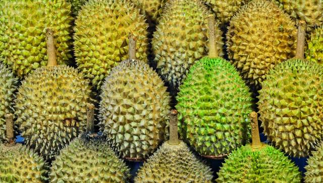 Package containing smelly durian fruit causes evacuation in Bavarian post office; 12 German postal workers admitted to hospital Package containing smelly durian fruit causes evacuation in Bavarian post office; 12 German postal workers admitted to hospital