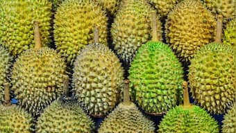 Package containing smelly durian fruit causes evacuation in Bavarian post office; 12 German postal workers admitted to hospital
