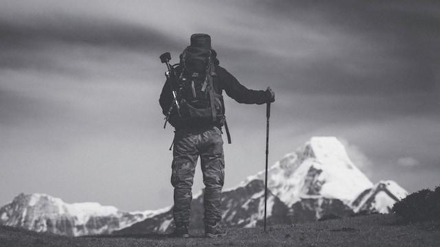 Blaze A New Trail With The Top Trekking Poles Blaze A New Trail With The Top Trekking Poles