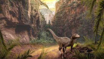 Asteroid, climate change is not responsible for the mass extinction that took place 215 million years ago