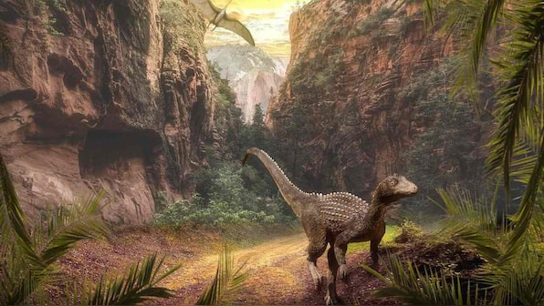 Asteroid, climate change is not responsible for the mass extinction that took place 215 million years ago