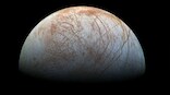 Subsurface of Jupiter's moon Europa might have supported microbial life in the past